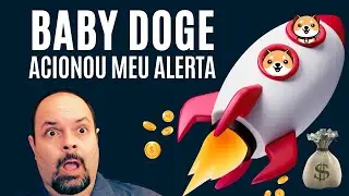 BABY DOGE ACIONOU MEU ALERTA