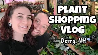Plant Shopping Vlog!! 🌿 all the good stuff at The Plant Shop in Derry, NH ✨️ rares & great prices!!