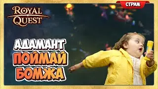 🔴 Royal Quest Поймай Бомжа в Адаманте Стрим