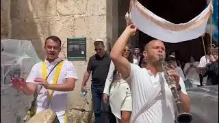 ״מתופפי המדבר״ משמחים משפחה מעומר, תהלוכת חתנים חגיגית בשער ציון💚🤍