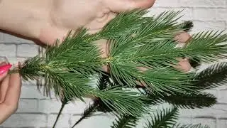 Обзор ветки ели