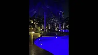 [Free] Playboi Carti x Adrian Type Beat - 