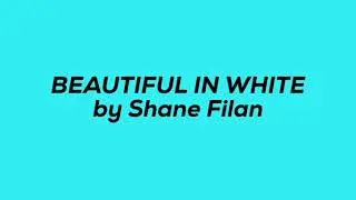 BEAUTIFUL IN WHITE by Shane Filan
