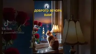 #добрыйвечер#всемдобра
