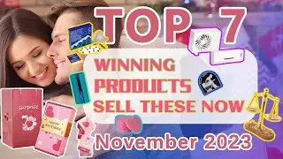 Wefulfil Top Winning Products