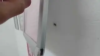 До встречи мышь в аду! Уфа Мушникова 16
