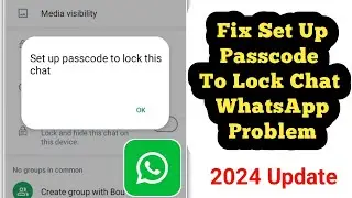 Set up Passcode to lock this chat Whatsapp Problem Fix 2024 | How to Set Passcode On WhatsApp