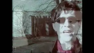 Вячеслав Бутусов, Борис Гребенщиков  - Нежный вампир