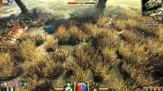 Van Helsing - Heroic/Hardcore - Marsh + End Bosses