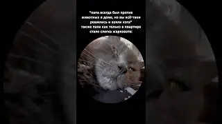 Самый главный член семьи #sqwozbab
