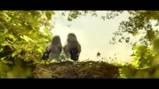 Twister Nido (inspirándose en la naturaleza)