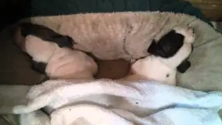 Two little brother and sister sleep together so cu