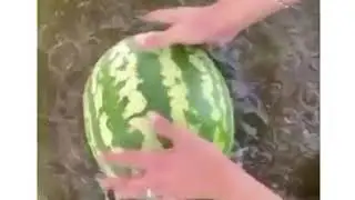 Жри и не благодари