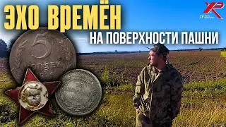 Металлоискатель больше не НУЖЕН! Все МОНЕТЫ на поверхности! Шикарный коп!