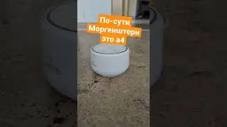 Алиса права?