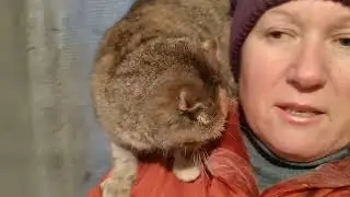 мы не пропали, мы снова с вами