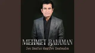 SEN UNUTTUN AMA BEN UNUTMADIM
