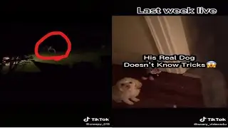 skinwalker tiktoks that will give you nightmars (dont watch alone)