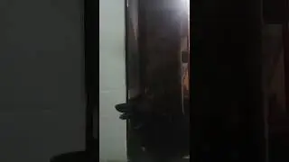 Roqueira da pesada.  Bolota curte Rock Vida Loka