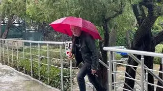 So sieht es HEUTE in SIDE(Regen). Türkei im Winter 