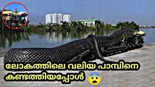 largest snake ever found| Titanaboa കുറിച് അറിയണ്ടതെല്ലാം|Titanaboa facts...
