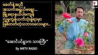 အောင်ပင်ရွာက သားကြီး