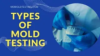 What are the different types of mold tests, and how do I choose the right one ?