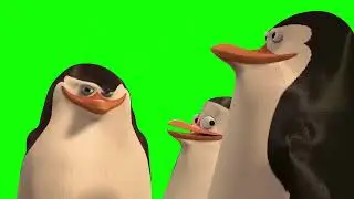 Yes Rico, KABOOM! meme - Penguins of Madgascar (Green Screen)