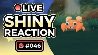 THE DAMPEST BUG! Shiny Living Dex Reactions! #26 - Paras