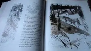 М. Соколов-Микитов. Год в лесу. Читает Т.А. Соколова. Библиотека мкрн. Луговая