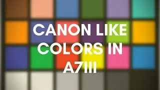 Replicating CANON COLORS on an A7III (And Adobe Premiere)