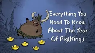DST | Everything You Need To Know About The Year Of Pig