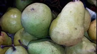 Груша Дюшес