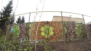 • Bozik • Sun Mandala •