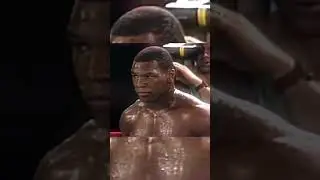 Tyson 🥊