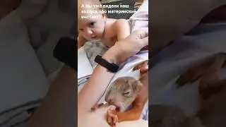 Breastfeed a squirrel? Hold my tits!