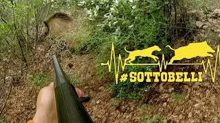 CACCIA AL CINGHIALE IN MONTAGNA _ con il Gruppo #sottobelli