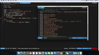 我的vim插件配置（python）