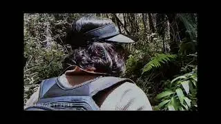 June & July VHS