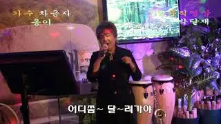 노래 차금자-옹이(원곡:조항조/작사:이승규/작곡:신재동)_종로 라이브 박달재_SW뮤직영상 방송_찰영편집 이상웅