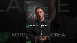 Wildberries или Ozon? 