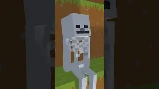 Hero Skeleton - Minecraft Animation #shorts