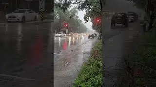 rainy day in Montreal- Canada 🇨🇦