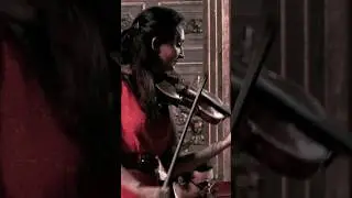 Eva León violin: Tico Tico #horstsohm & #orchestra #ticotico #shorts #music #violin