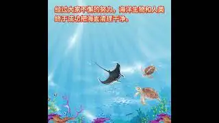 保护海洋是我们的责任🌊#海的传奇 #传奇系列 #知识报 #合力出版社