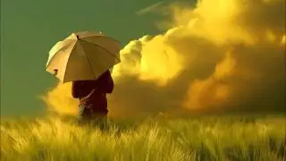 The laws of wealth accumulation  Lesson 6