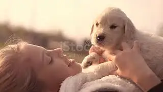 istockphoto 841550462 640 adpp is