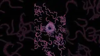 Subnautica Dance of the crabsnakes