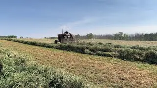 Raking the Hay!