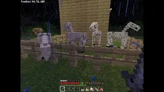oh frick skeleton horsemen in minecraft